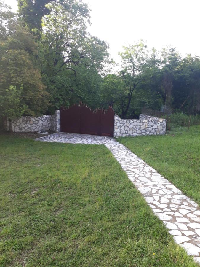 House At The Forest / Სახლი Ტყის Პირას Gordi Exterior foto
